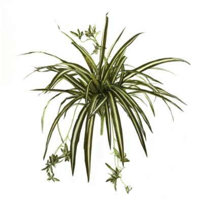 Nearly Natural 23-Inch Spider Plant Bush (Set of 4), Green