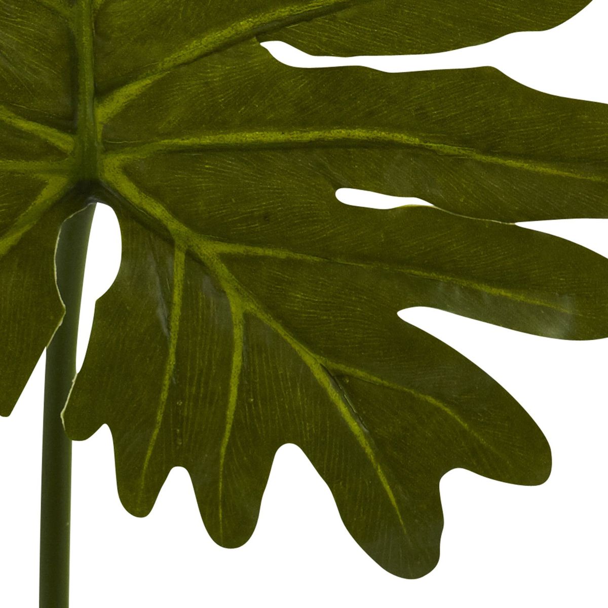 Selloum Philo Single Leaf Stem (Set of 12)