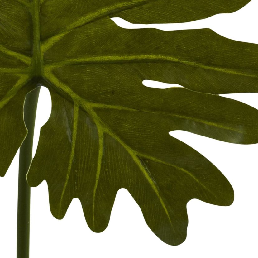 Selloum Philo Single Leaf Stem (Set of 12)