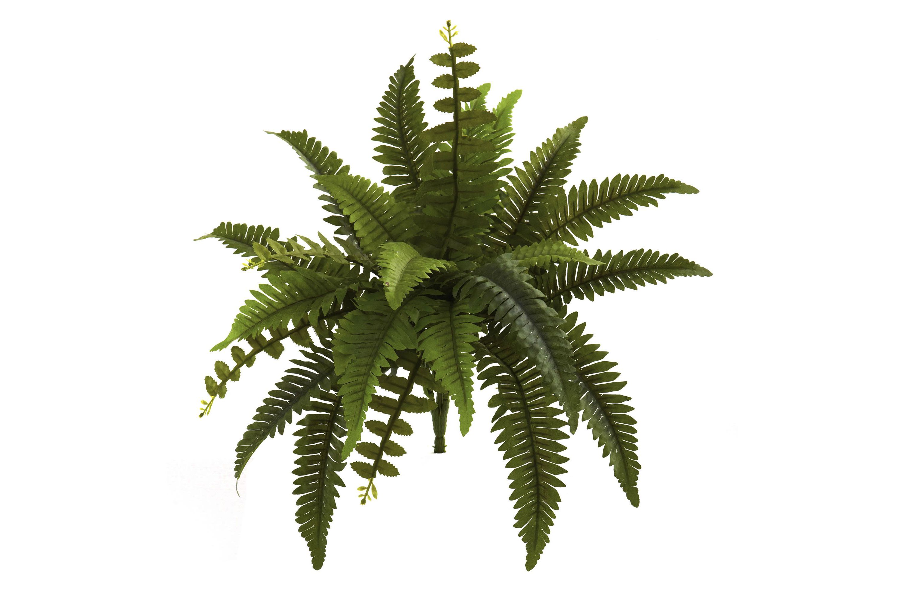 14-Inch Boston Fern Artificial Plant (Set of 6)