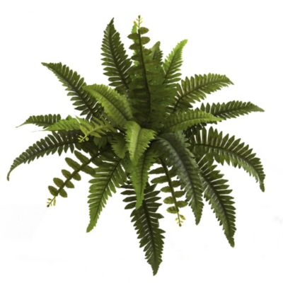 14-Inch Boston Fern Artificial Plant (Set of 6)