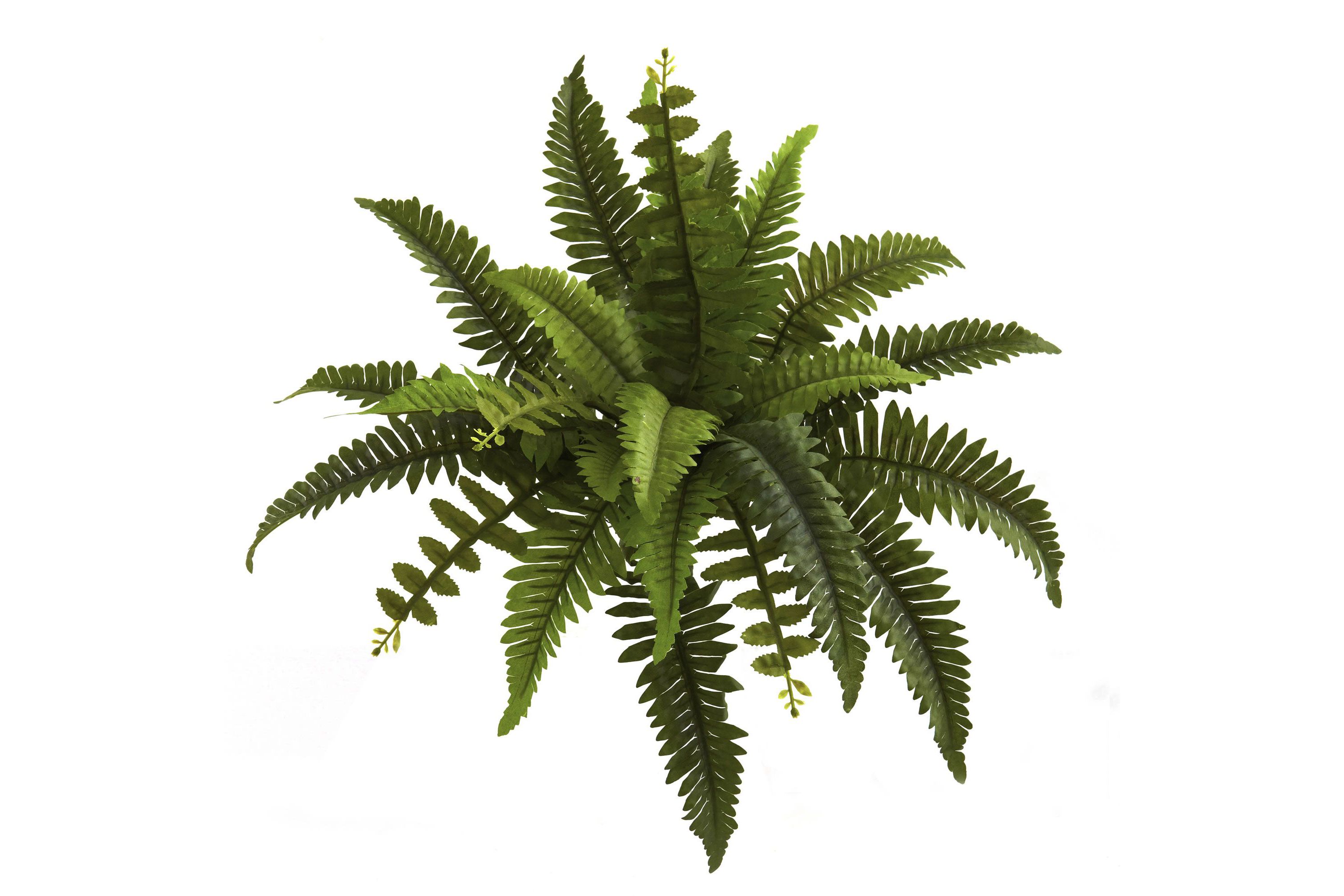 14-Inch Boston Fern Artificial Plant (Set of 6)