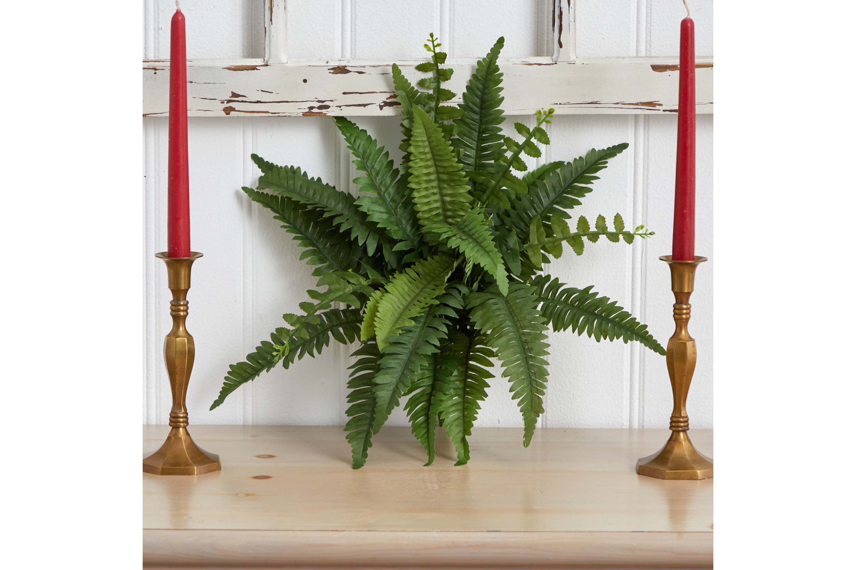 14-Inch Boston Fern Artificial Plant (Set of 6)