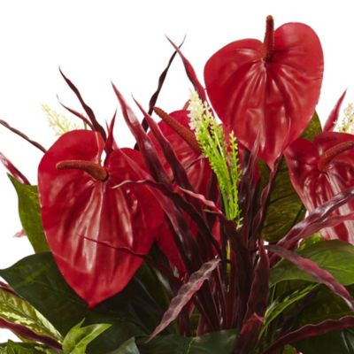 24-Inch Mixed Anthurium Bush (Set of 2)