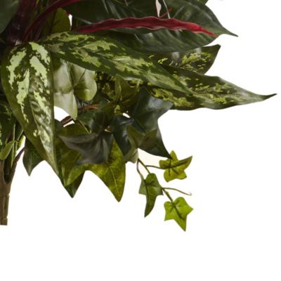 24-Inch Mixed Anthurium Bush (Set of 2)