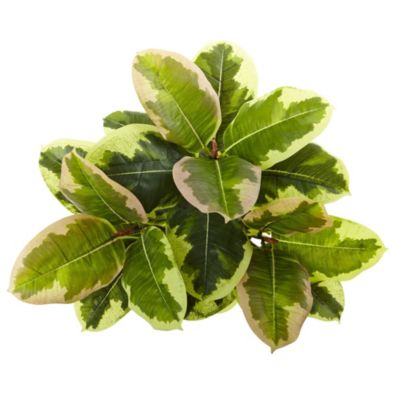 23-Inch Rubber Leaf Artificial Plant (Real Touch) (Set of 3)