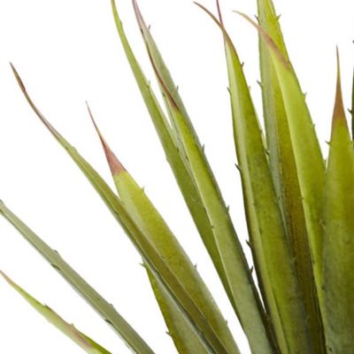 Spiky Agave Succulent Plant (Set of 2)