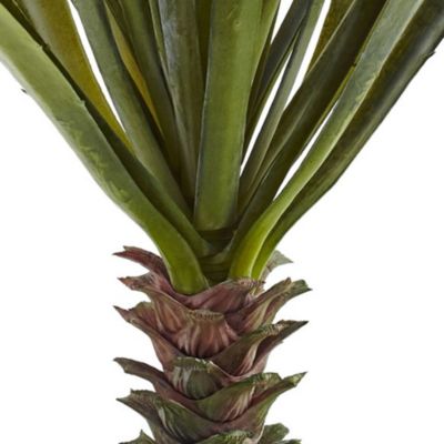 Spiky Agave Succulent Plant (Set of 2)
