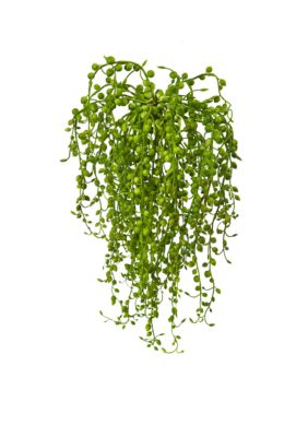 Nearly Natural Senecio Artificial Succulent Plant, Green