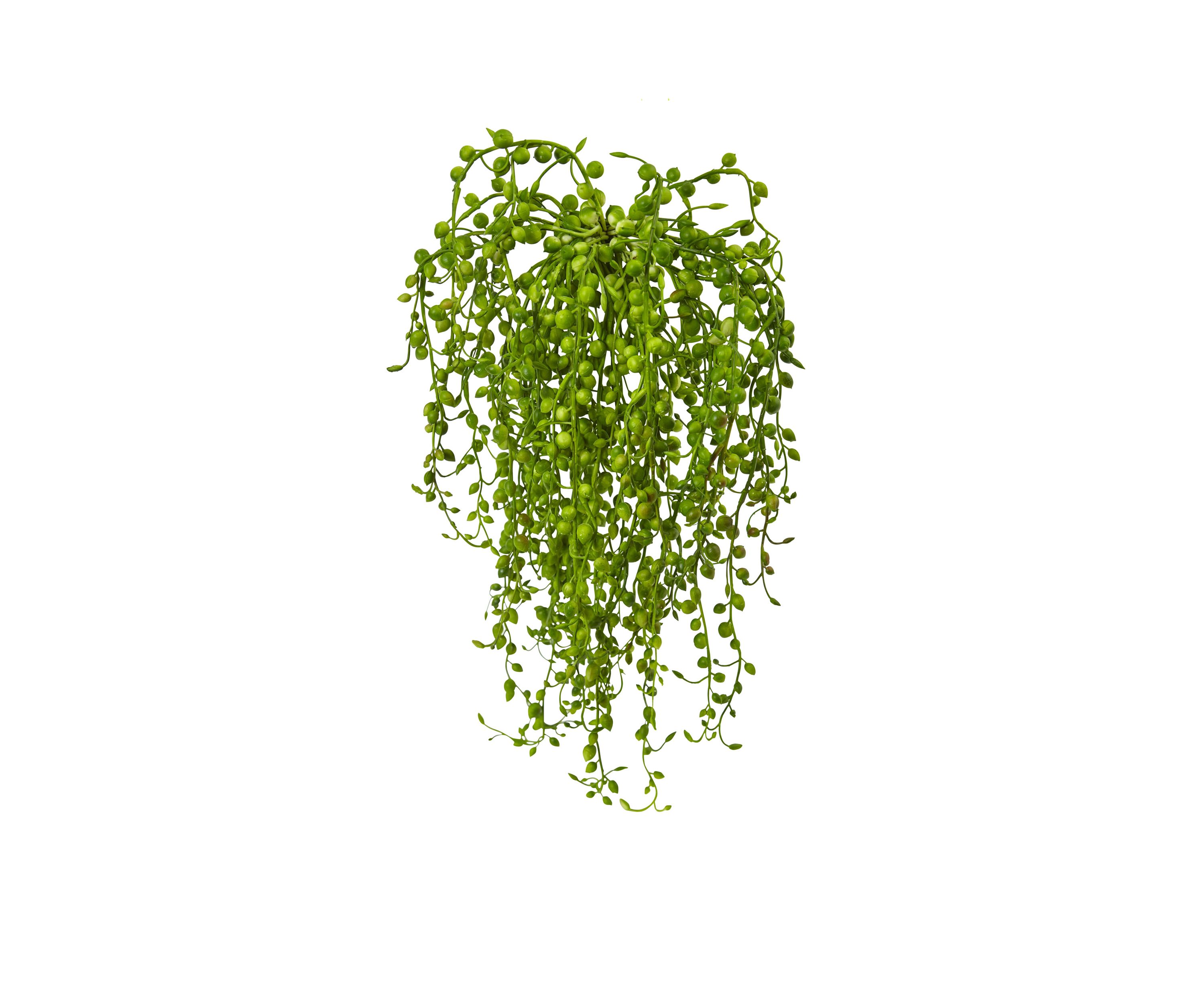 Senecio Artificial Succulent Plant