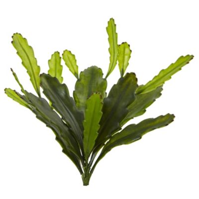 Nearly Natural 14-Inch Epiphyllum Cactus Artificial Plant (Set of 4), Green