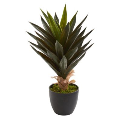 Agave Artificial Plant (Set of 2)