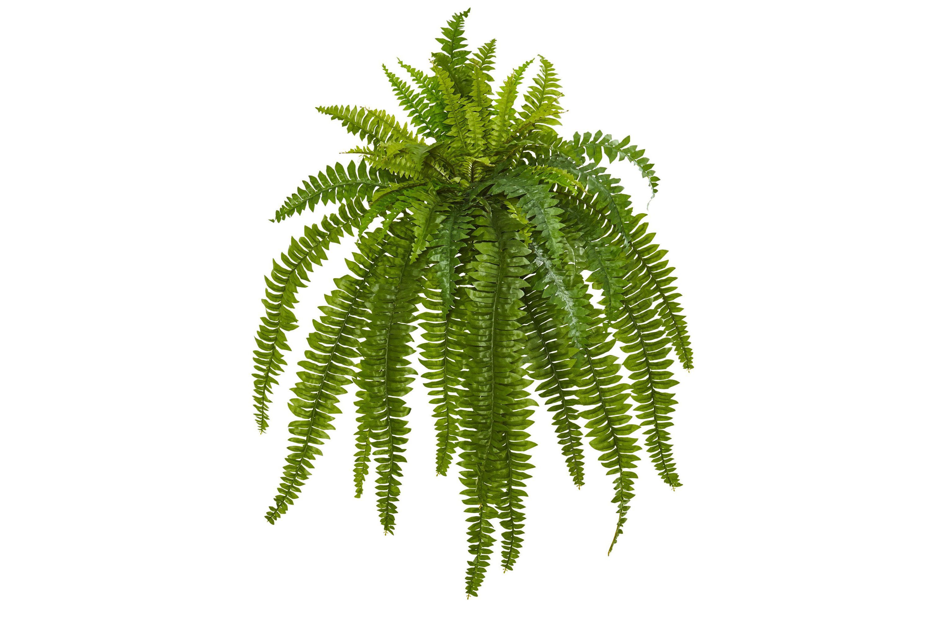 35-Inch Boston Fern Artificial Plant (Set of 2)