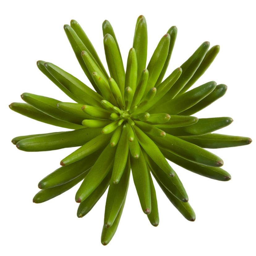 12-Inch Succulent Artificial Plant (Set of 6)