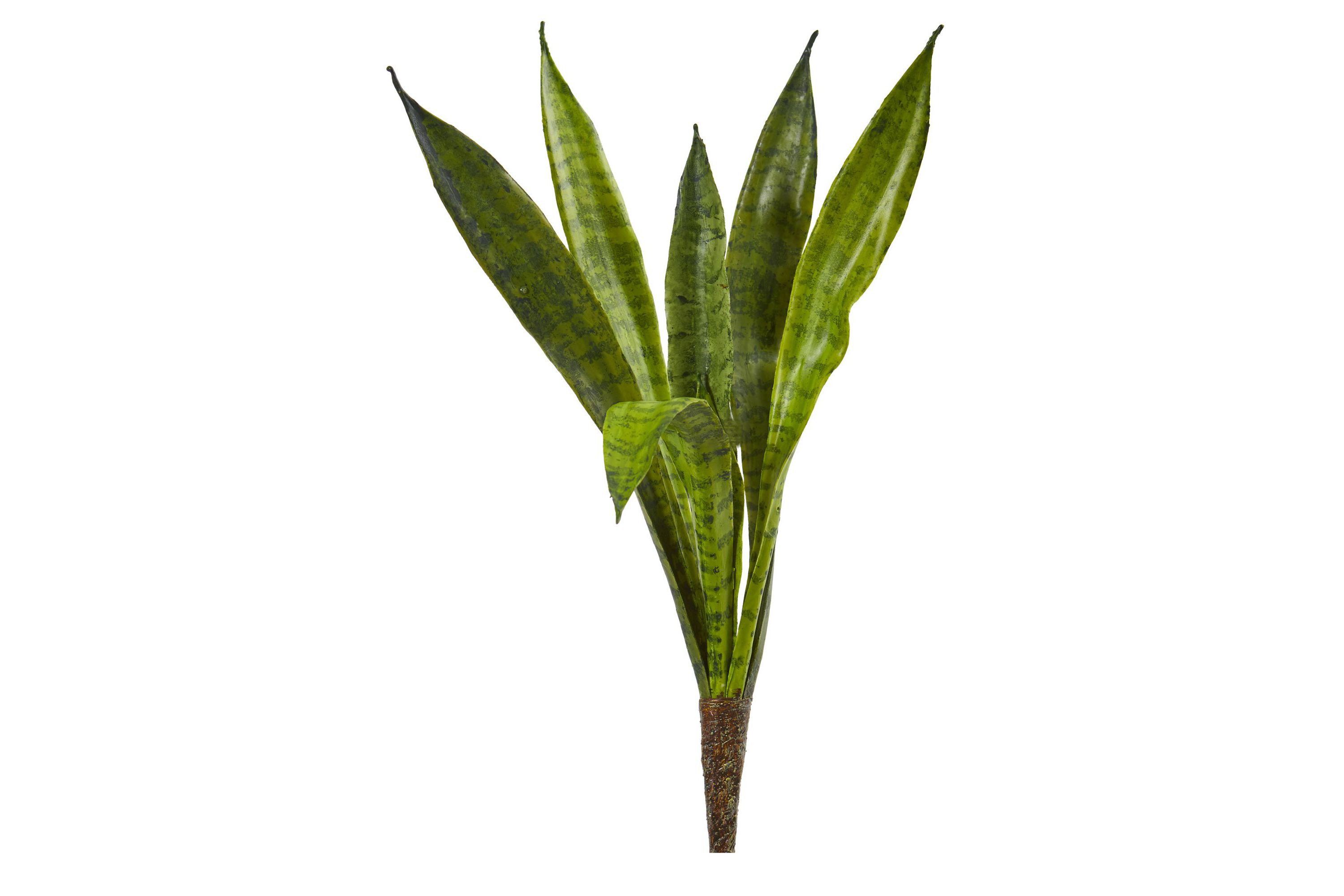 20-Inch Sansevieria Artificial Plant (Set of 6)