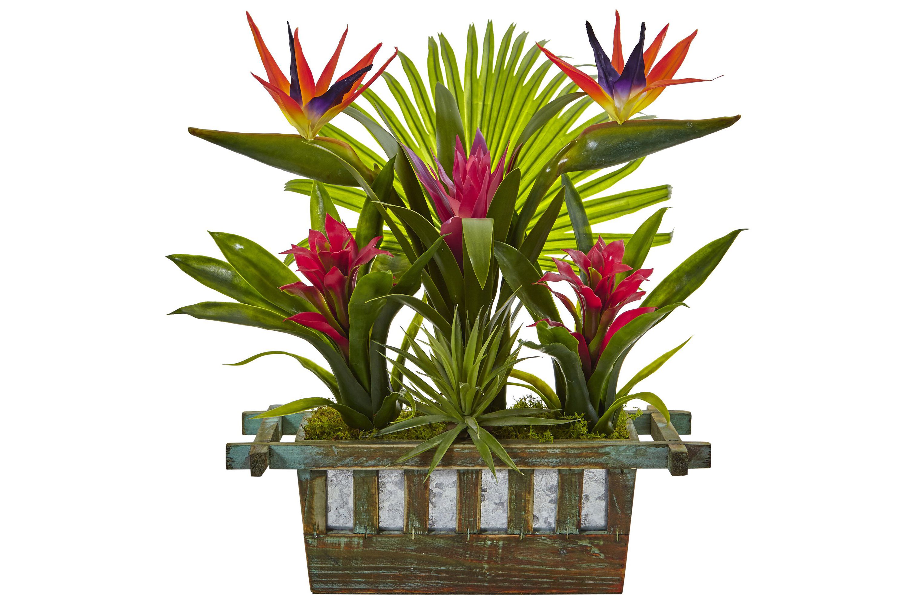 Bird of Paradise and Bromeliad in Planter