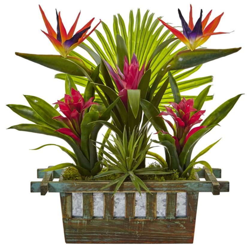 Bird of Paradise and Bromeliad in Planter