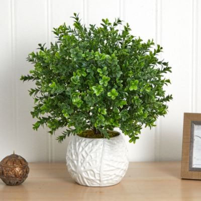 Boxwood Evergreen Artificial Plant in White Vase (Indoor/Outdoor)