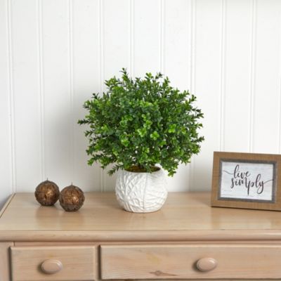 Boxwood Evergreen Artificial Plant in White Vase (Indoor/Outdoor)