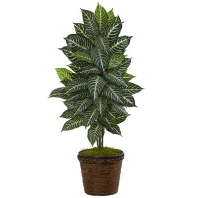 4-Foot Zebra Artificial Plant in Coiled Rope Planter