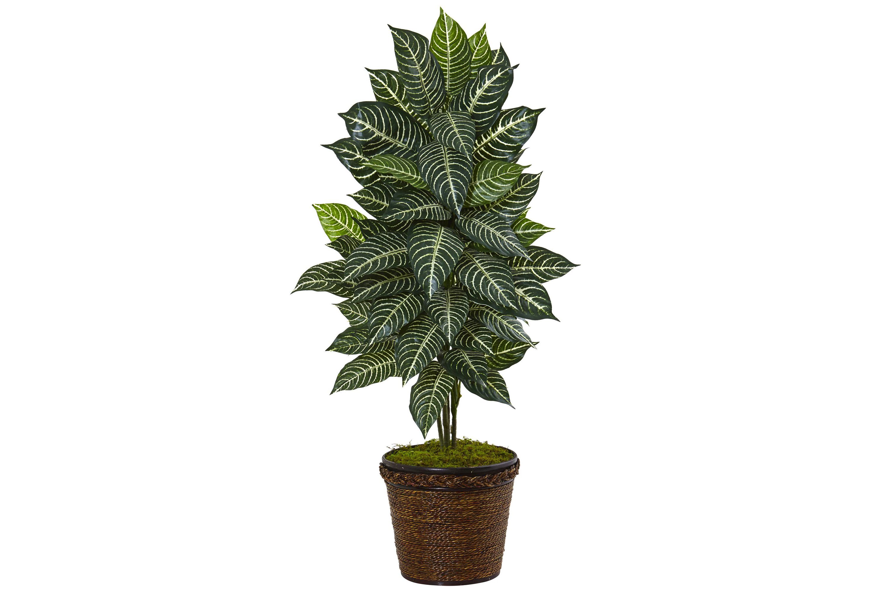 4-Foot Zebra Artificial Plant in Coiled Rope Planter