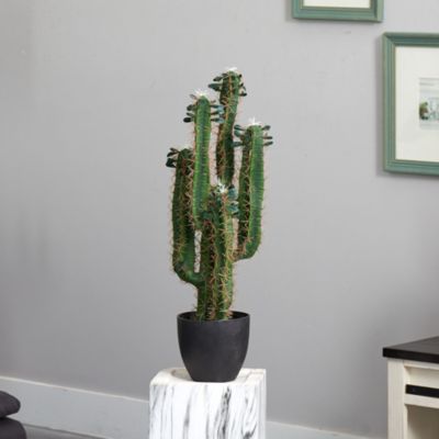 2.5-Foot Cactus Artificial Plant