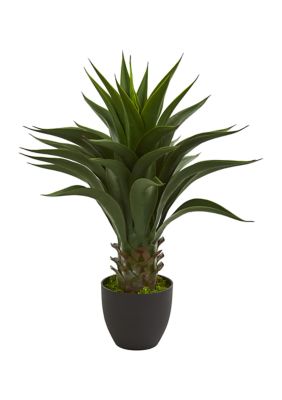 Nearly Natural Agave Plant