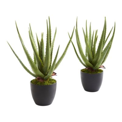Nearly Natural Aloe Artificial Plant (Set of 2)