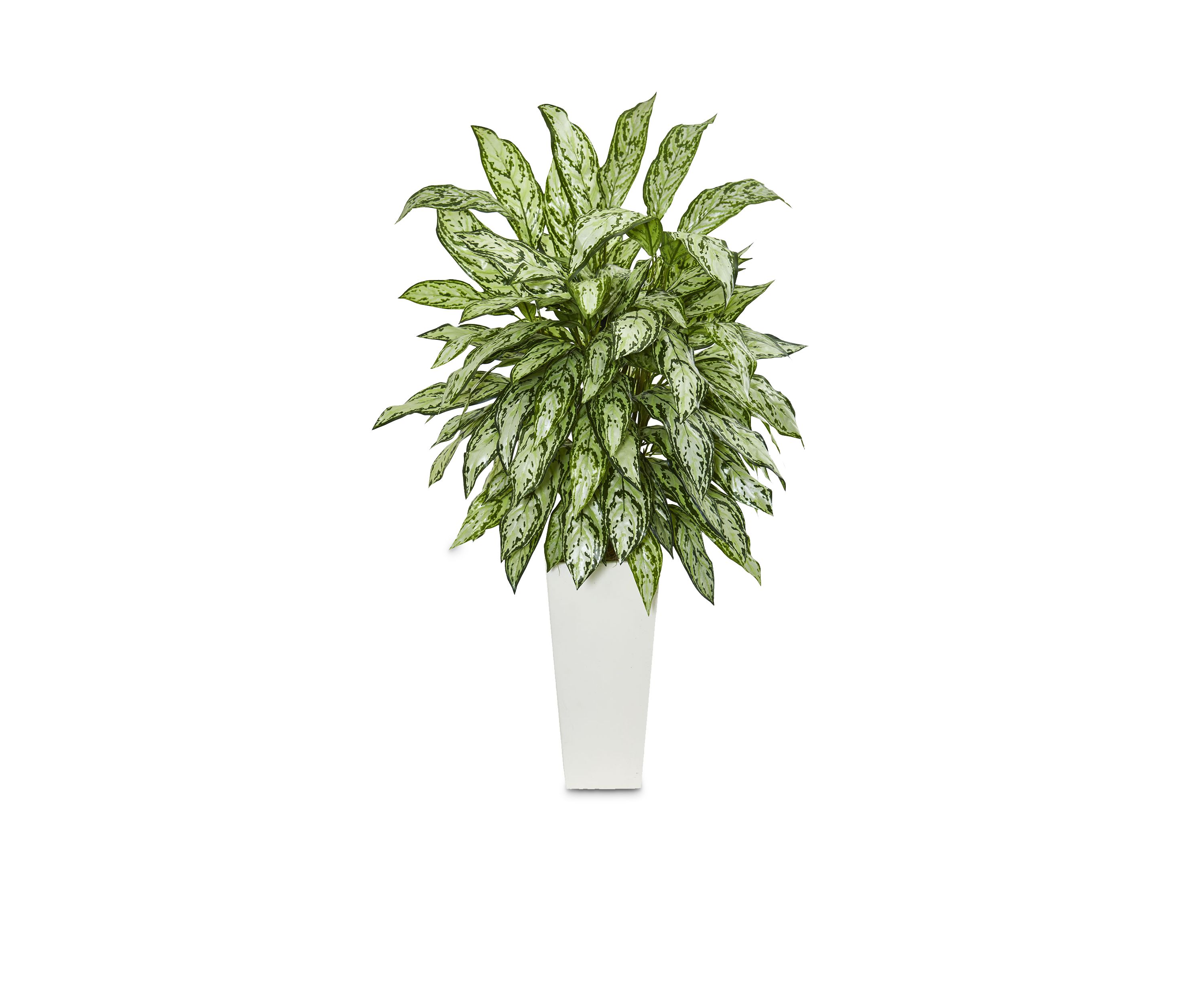 Silver Queen Artificial Plant