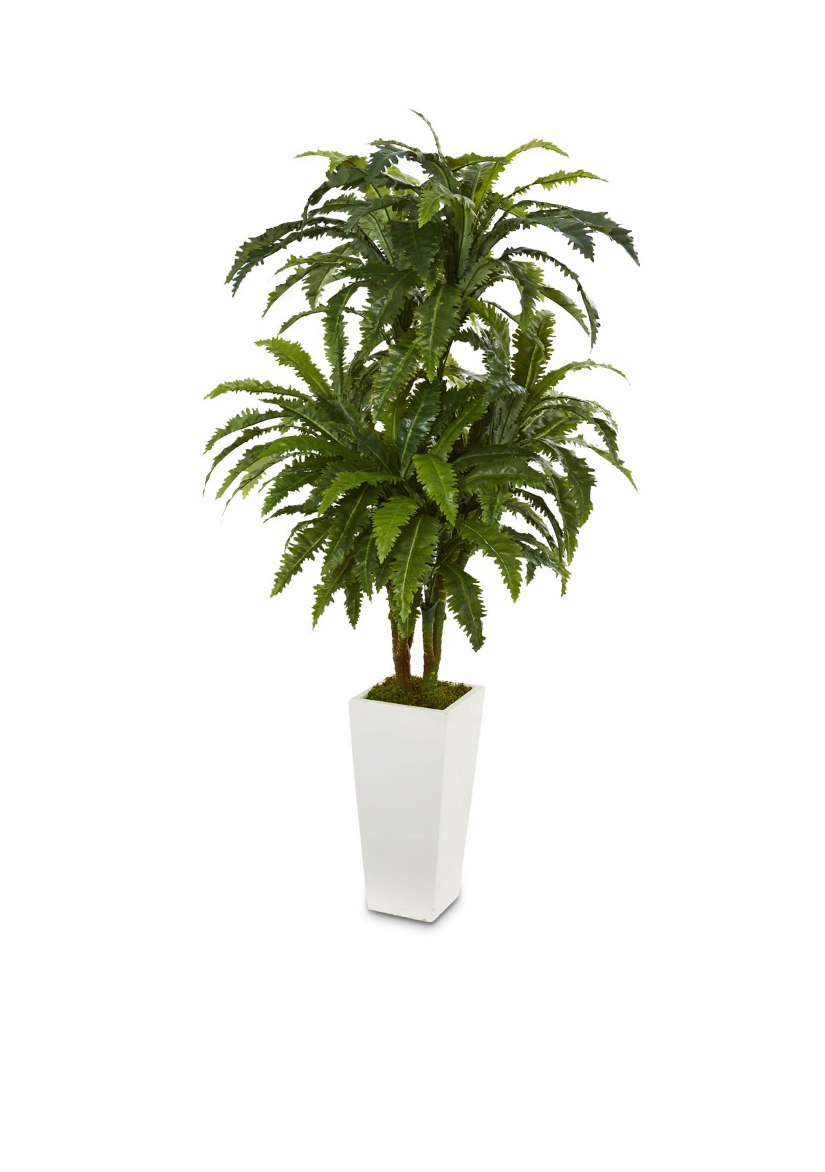 Marginatum Artificial Plant