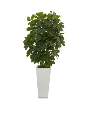 Schefflera Artificial Plant