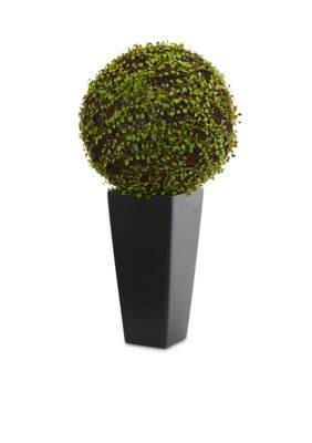 Mohlenbechia Ball Artificial Plant in Tower Vase