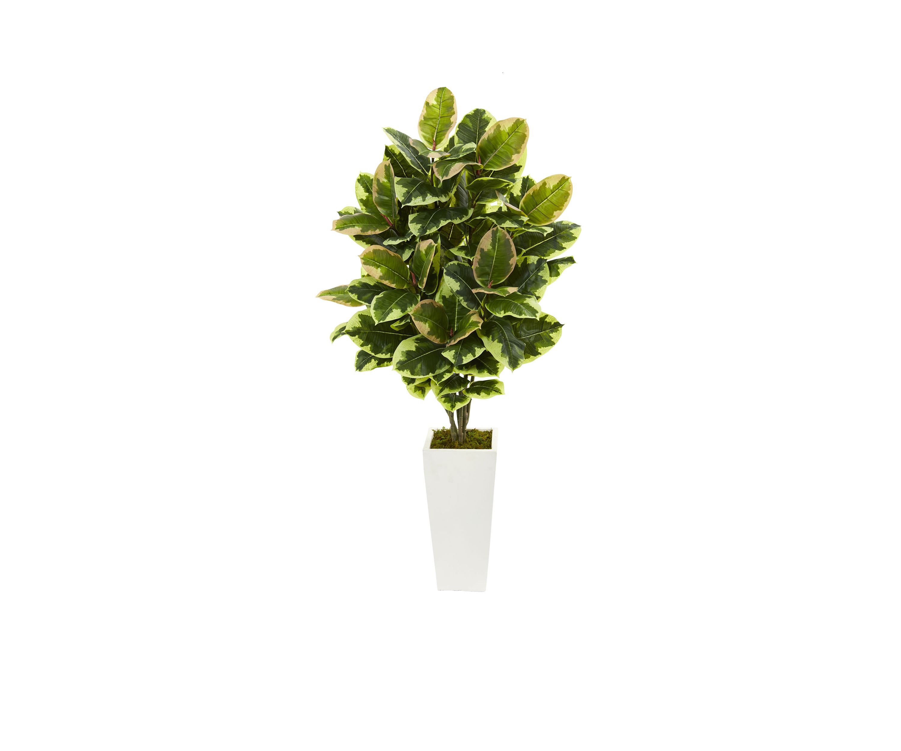 Variegated Rubber Leaf Artificial Plant