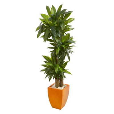 Nearly Natural 5.5-Foot Dracaena Plant in Orange Square Planter (Real Touch), Green