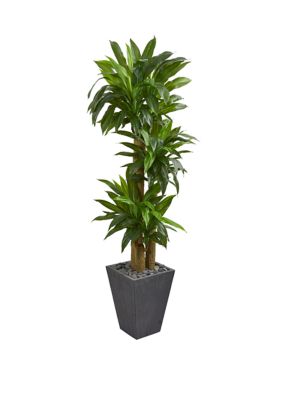 Nearly Natural 5.5 Foot Cornstalk Dracaena Artificial Plant in Slate Planter (Real Touch), Green