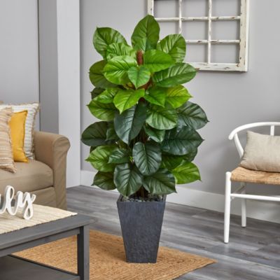 5-Foot Large Leaf Philodendron Artificial Plant in Slate Planter (Real Touch)