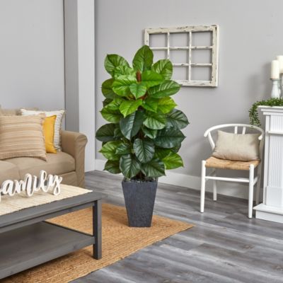 5-Foot Large Leaf Philodendron Artificial Plant in Slate Planter (Real Touch)