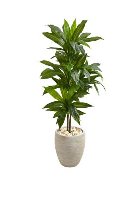 Nearly Natural 4 Inch Dracaena Artificial Plant in Sand Colored Planter (Real Touch)