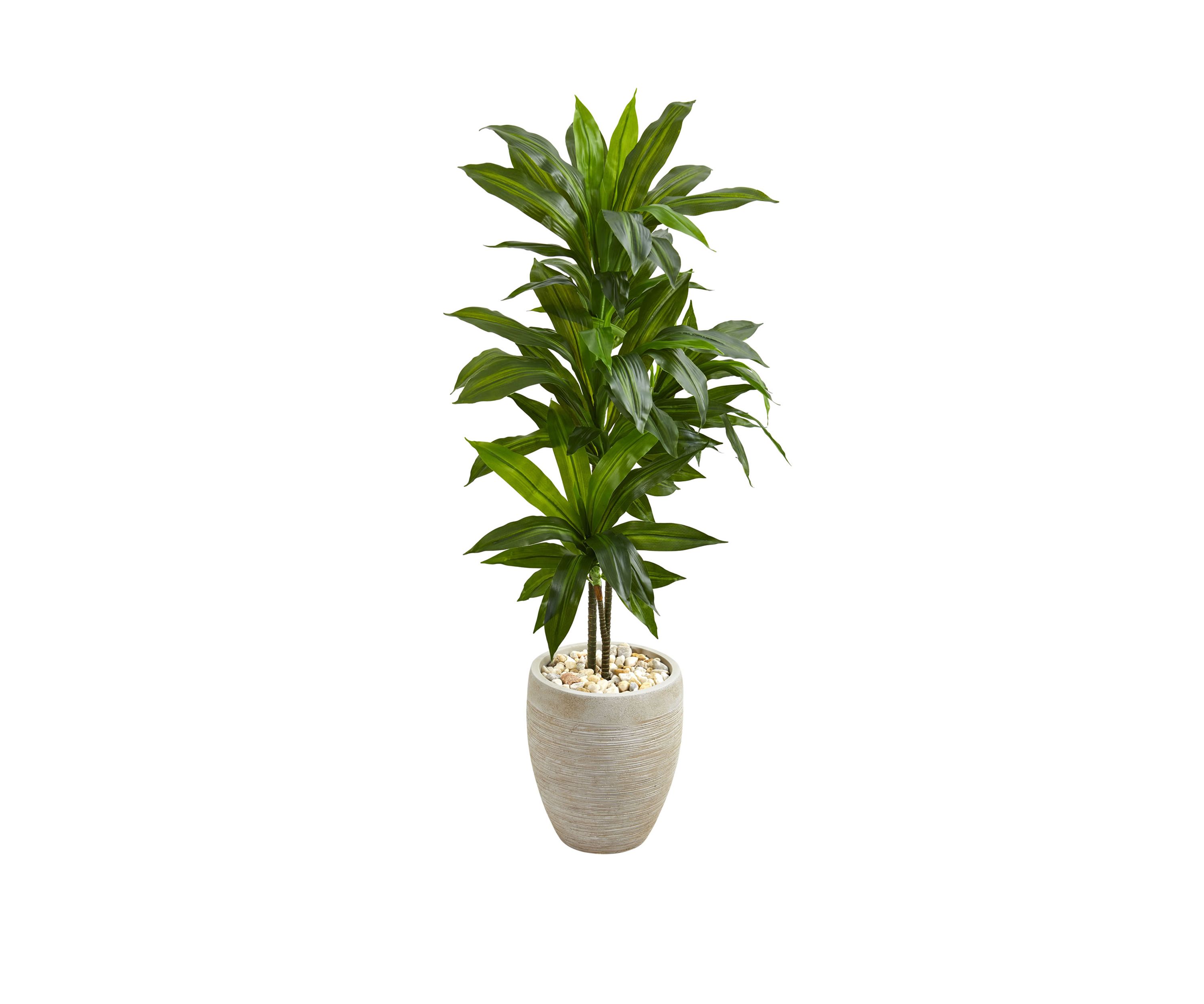 4 Inch Dracaena Artificial Plant in Sand Colored Planter (Real Touch)