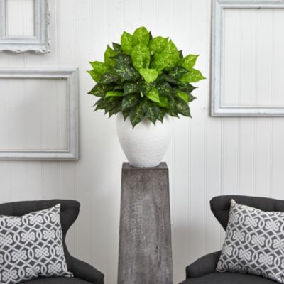 Dieffenbachia Artificial Plant in White Planter