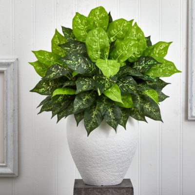 Dieffenbachia Artificial Plant in White Planter