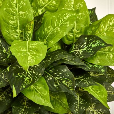 Dieffenbachia Artificial Plant in White Planter