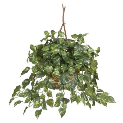 Nearly Natural Pothos Hanging Basket Silk Plant, Green