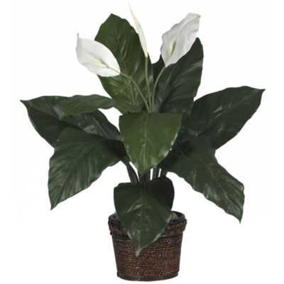 Nearly Natural Spathiphyllum with Wicker Silk Plant, Green