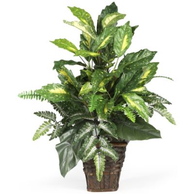 Nearly Natural Mixed Greens with Wicker Silk Plant, Green