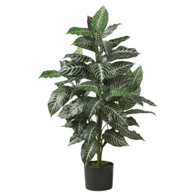 Nearly Natural 3 Foot Zebra Silk Plant, Green