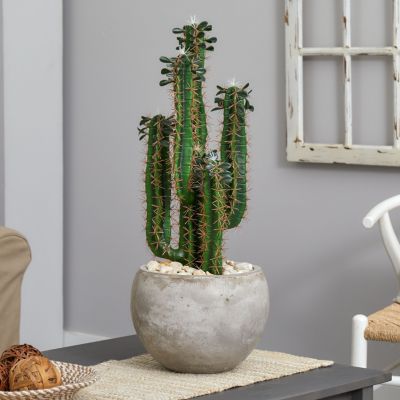 2.5-Foot Cactus Artificial Plant in Bowl Planter