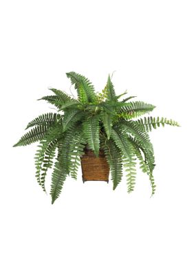 Boston Fern Silk Plant with Wicker Basket 