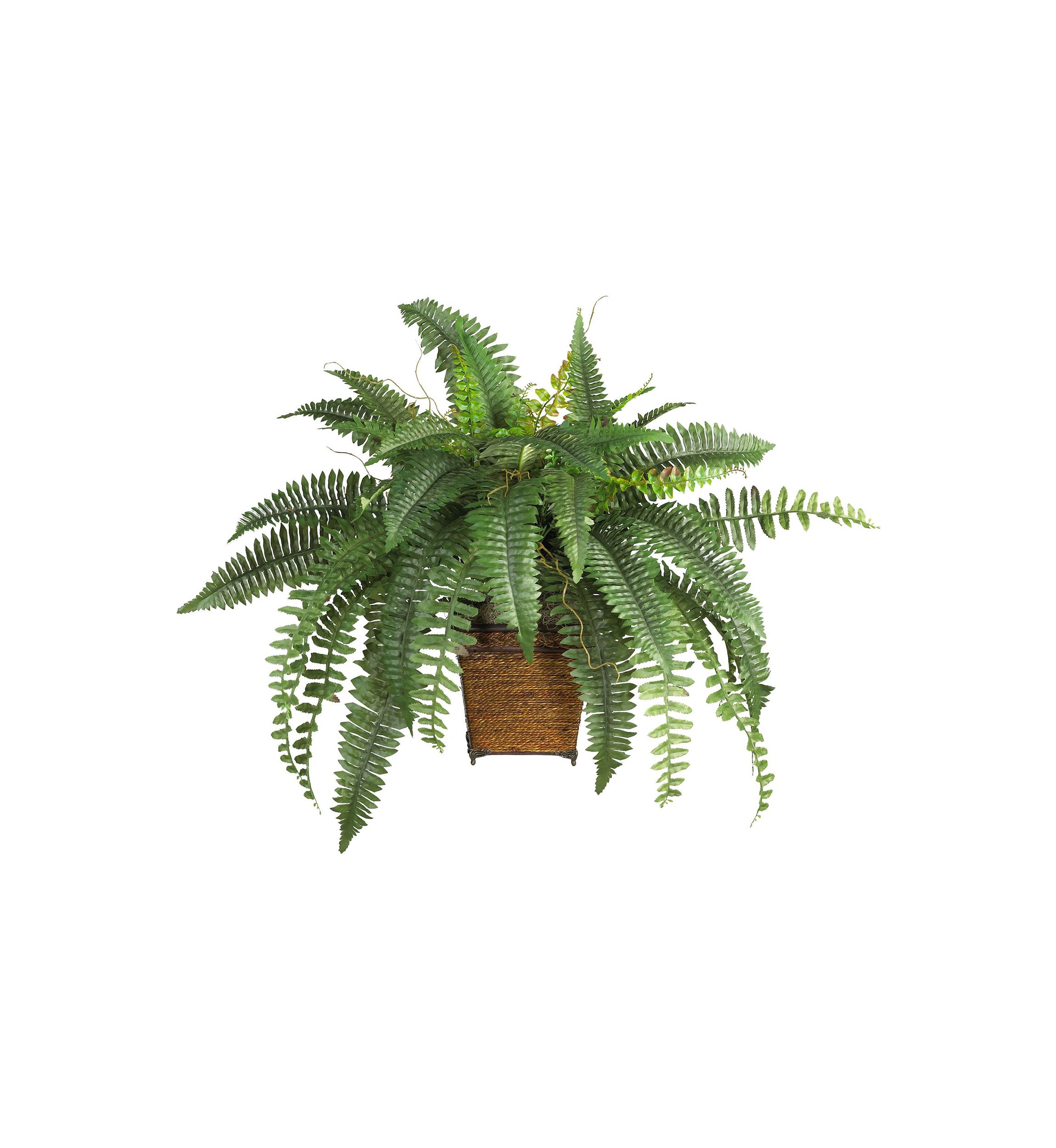 Boston Fern Silk Plant with Wicker Basket 