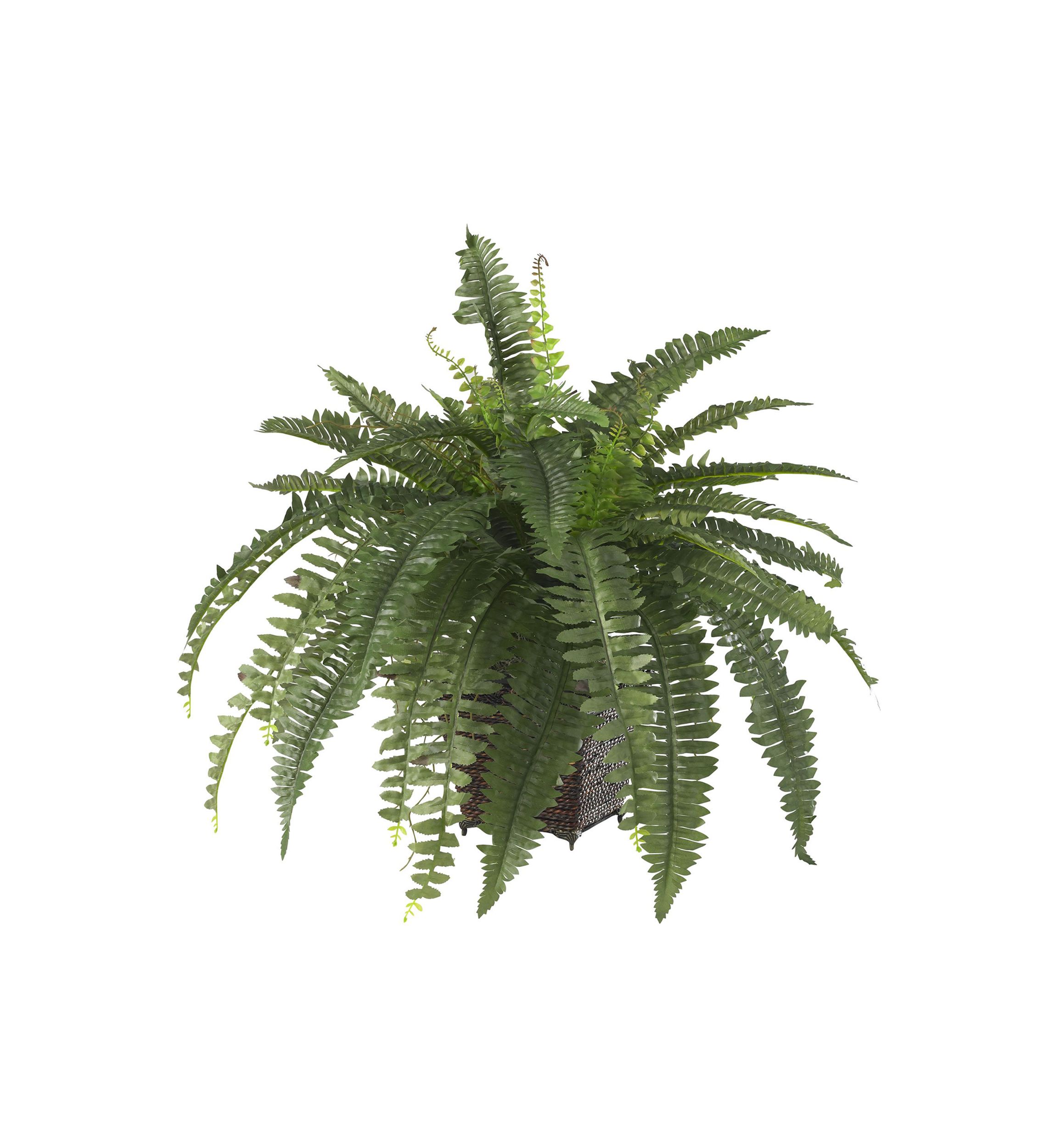 Boston Fern Silk Plant with Wicker Basket 